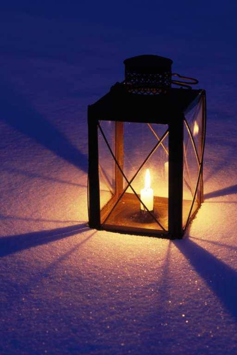 Untitled design - 2021-08-08T083757.925